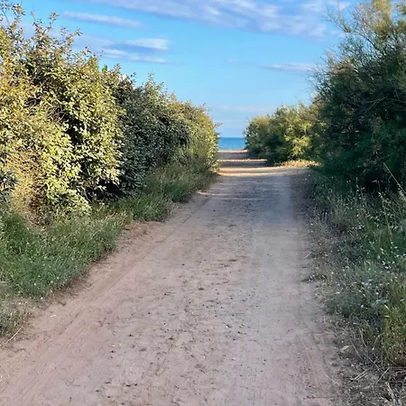 Du Cote De Chez Swann A 150 M De La